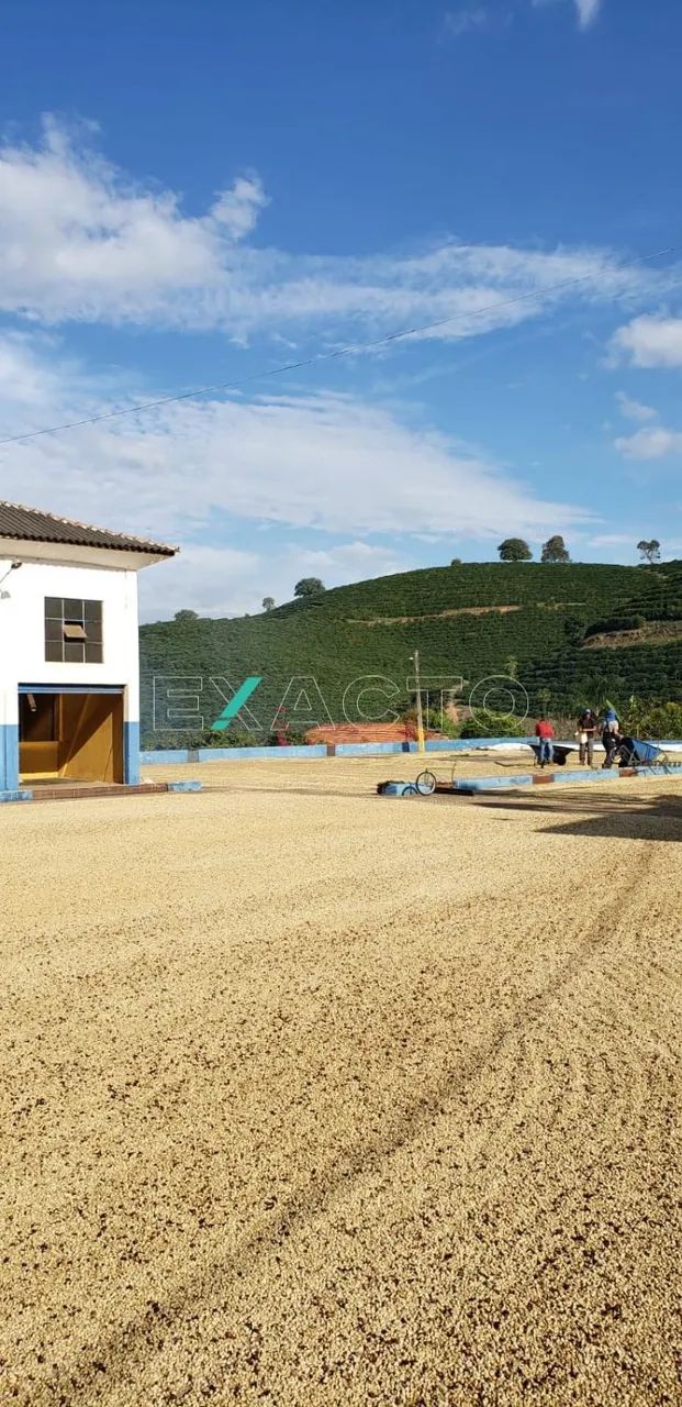 fazenda - Centro - Carmo de Minas - Foto 3