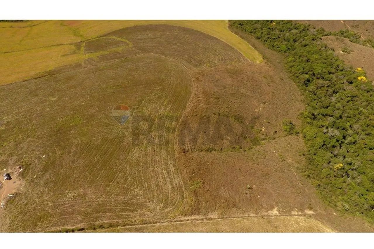 FAZENDA NA SERRA DA CANASTRA - Foto 5