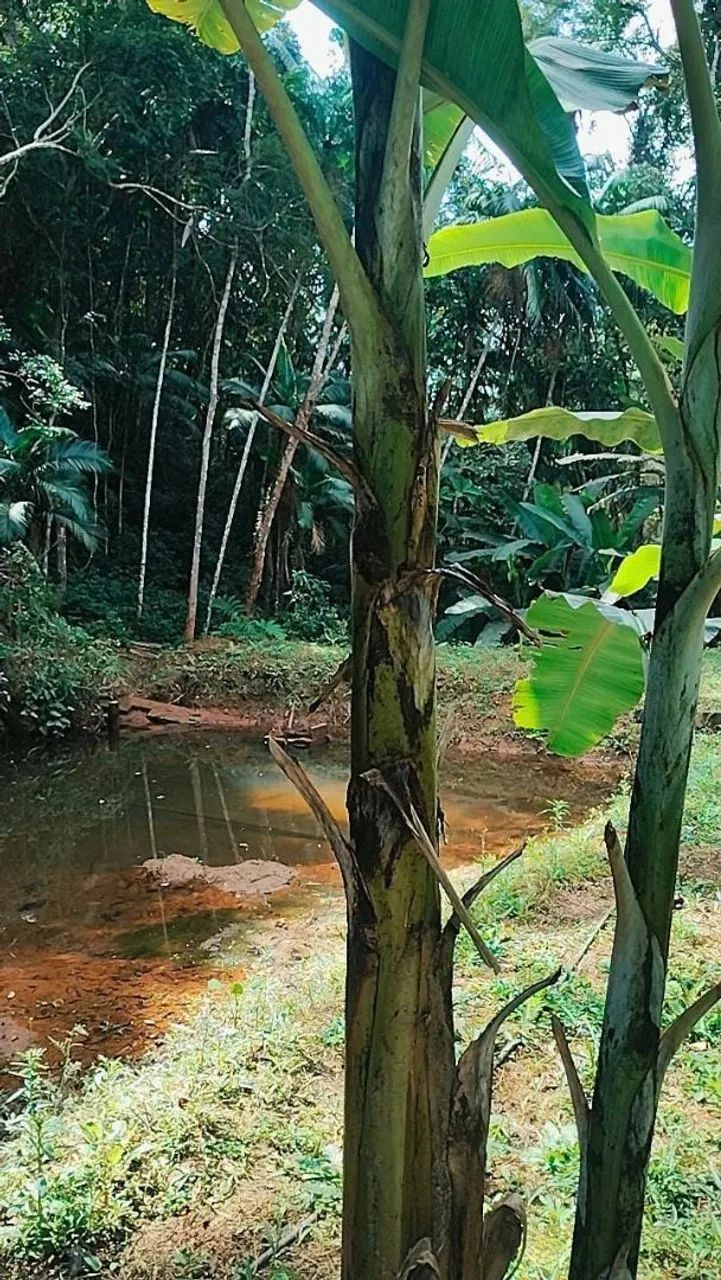 Terreno com area para plantio e agua ,escriturado e registrado 