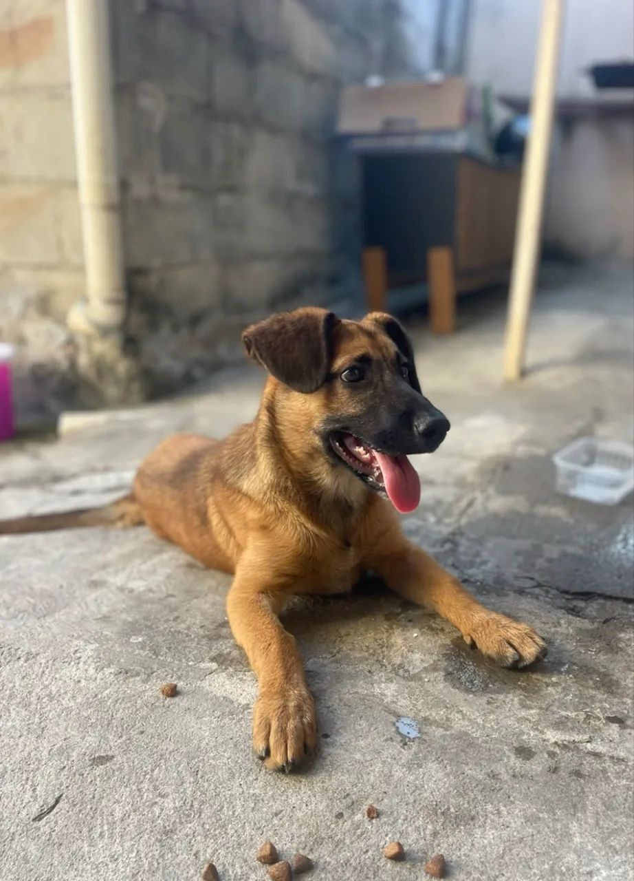 Doação  - Foto 3