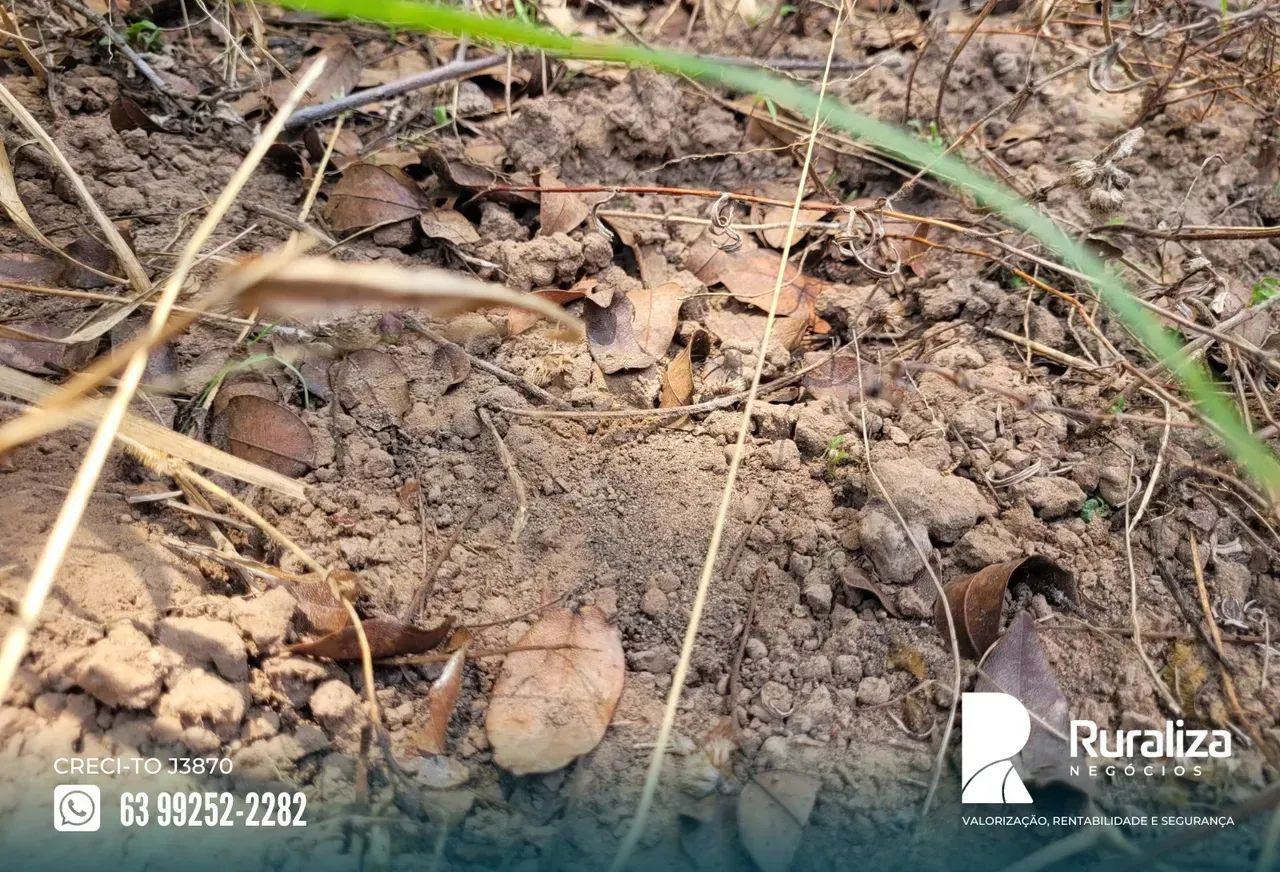 63 HA PARA ABERTURA | PLANO | EXCELENTE OPORTUNIDADE - Foto 2