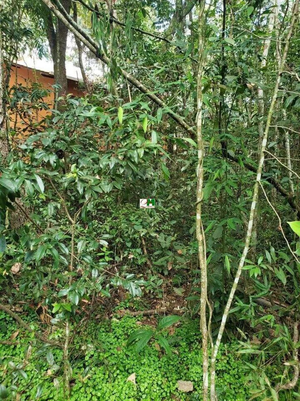 Lote em condomínio à venda, Pasárgada - Nova Lima/MG - Foto 5