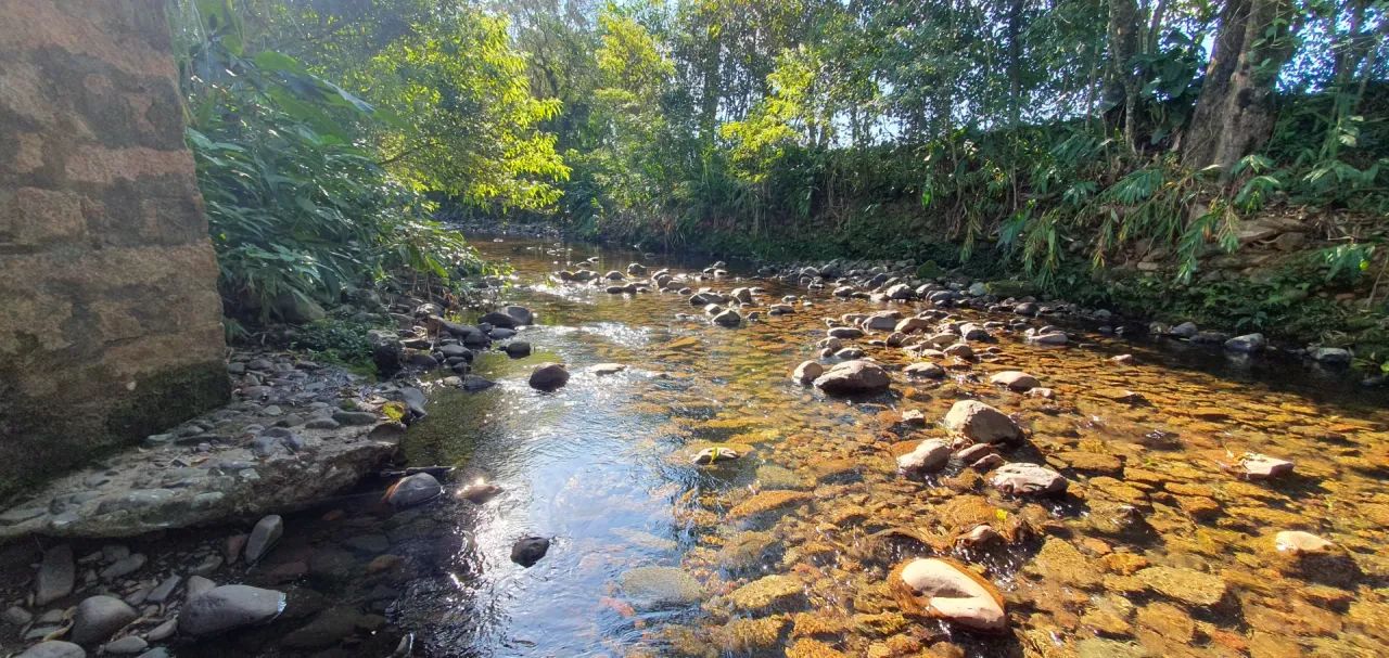 Lindo Sítio a venda no Bairro São Francisco - Nova Veneza - Foto 4