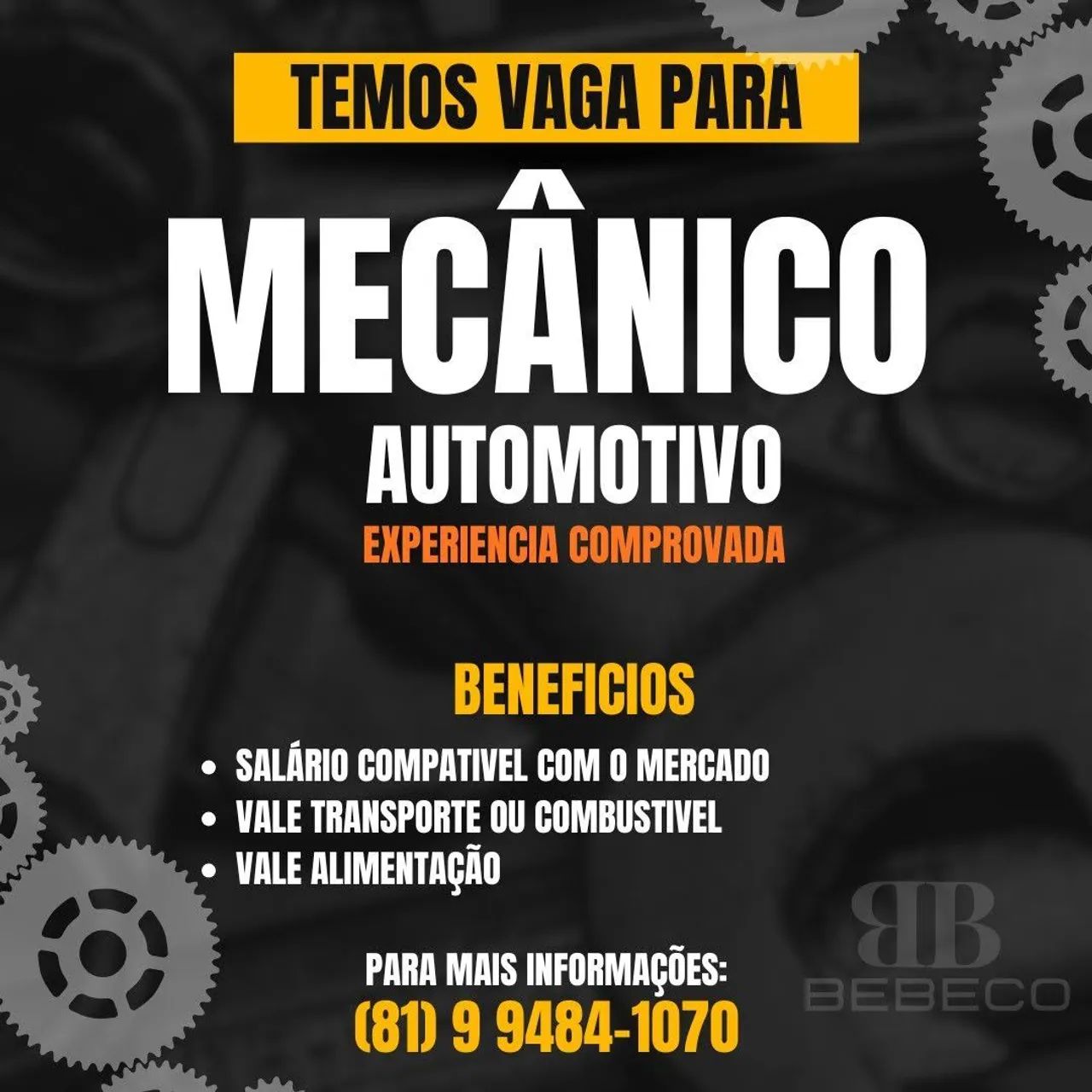 Mecânico de Veículos Leves e Vans