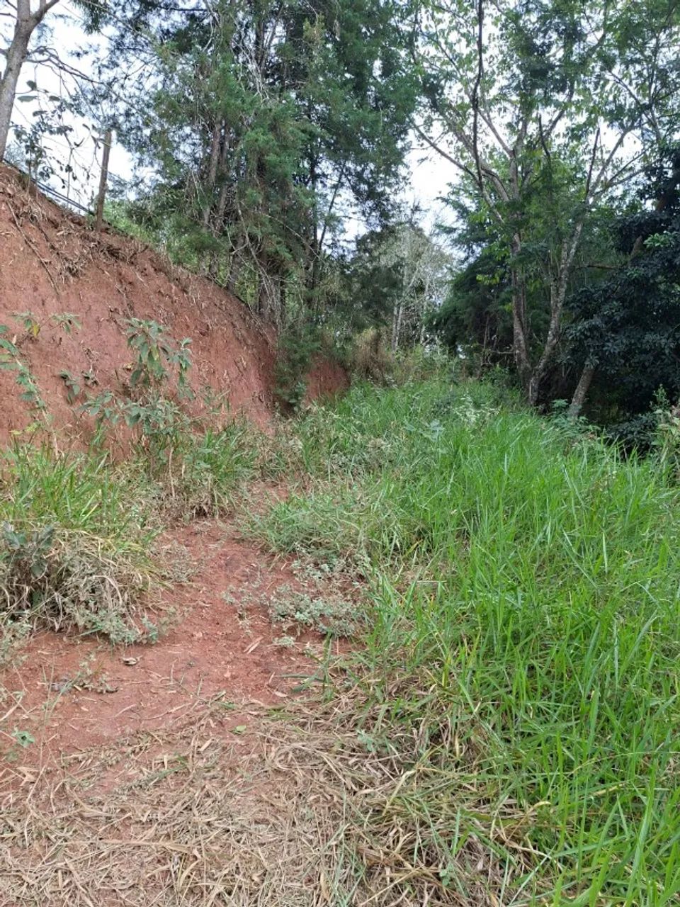 Chácara no Canaã com 1.900m² - Jambeiro - SP - Foto 4