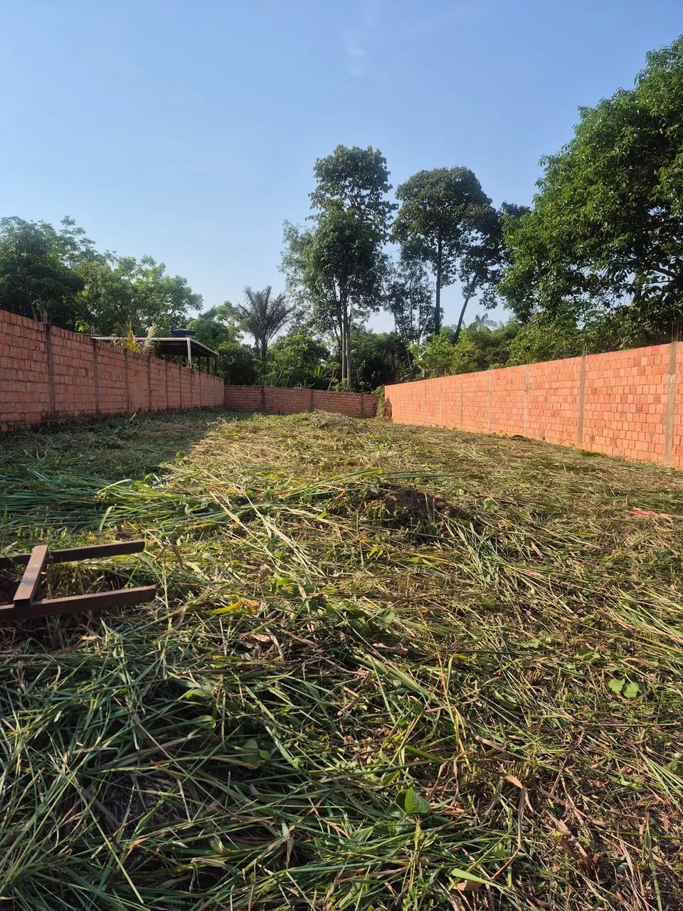 Somente venda - Foto 2