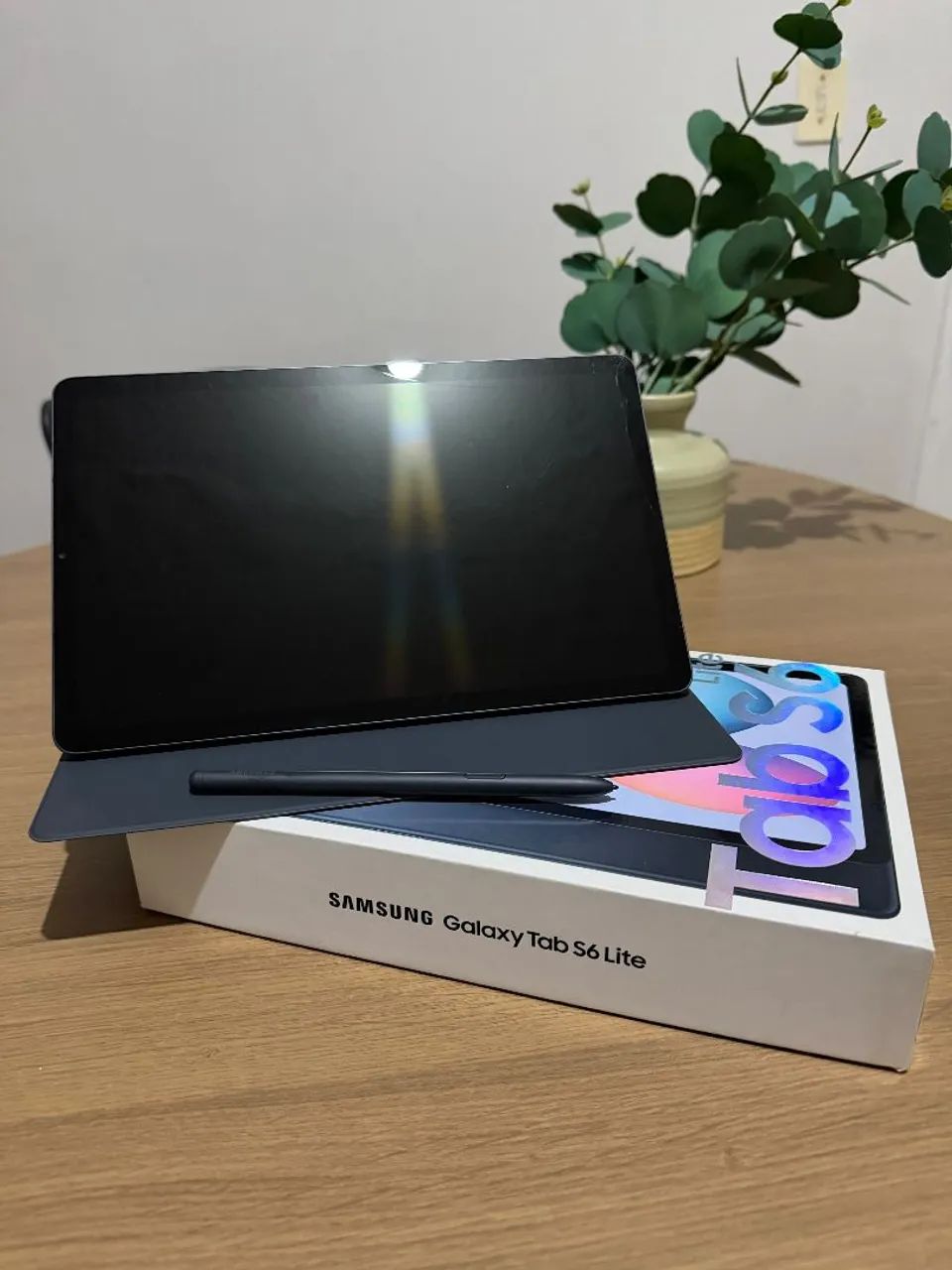 Samsung Galaxy Tab S6 Lite Usado
