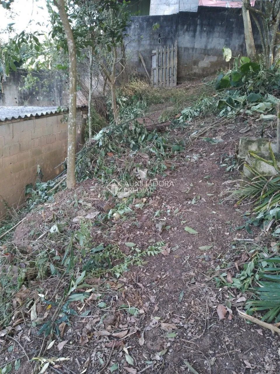 TERRENO - RIACHO GRANDE - SÃO BERNARDO DO CAMPO - Foto 2