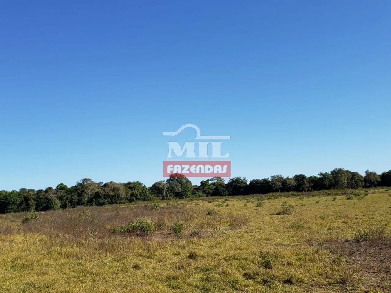 Fazenda em Araguaçu-TO - Foto 4