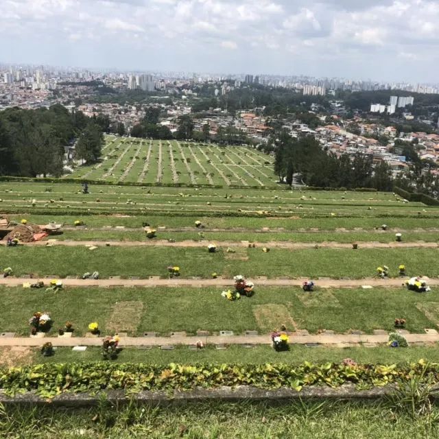 Jazigo perpétuo - Horto Forestal ZN SP - Foto 2
