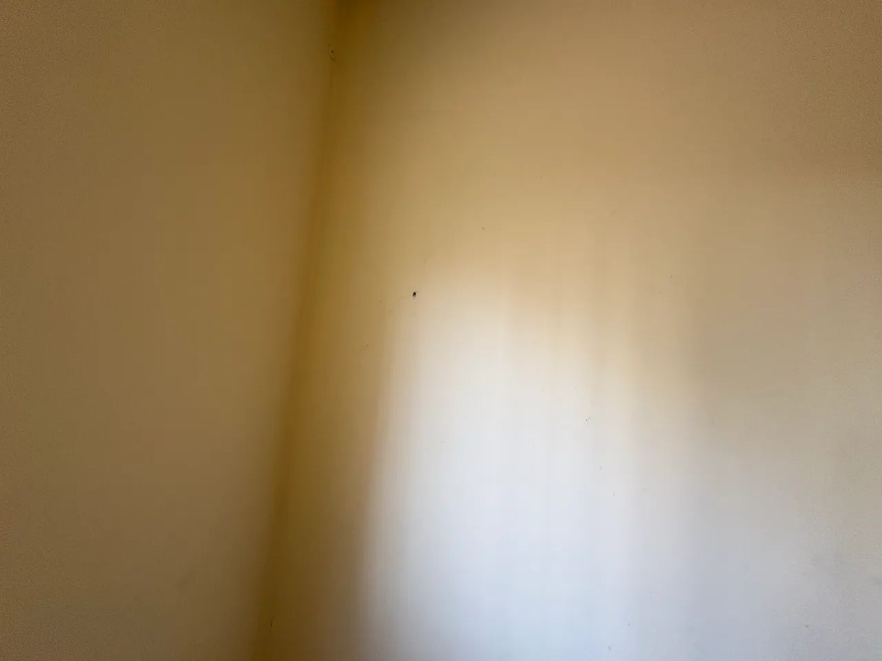 Alugo Apartamento Sem Condomínio no Centro de Nilópolis  - Foto 3