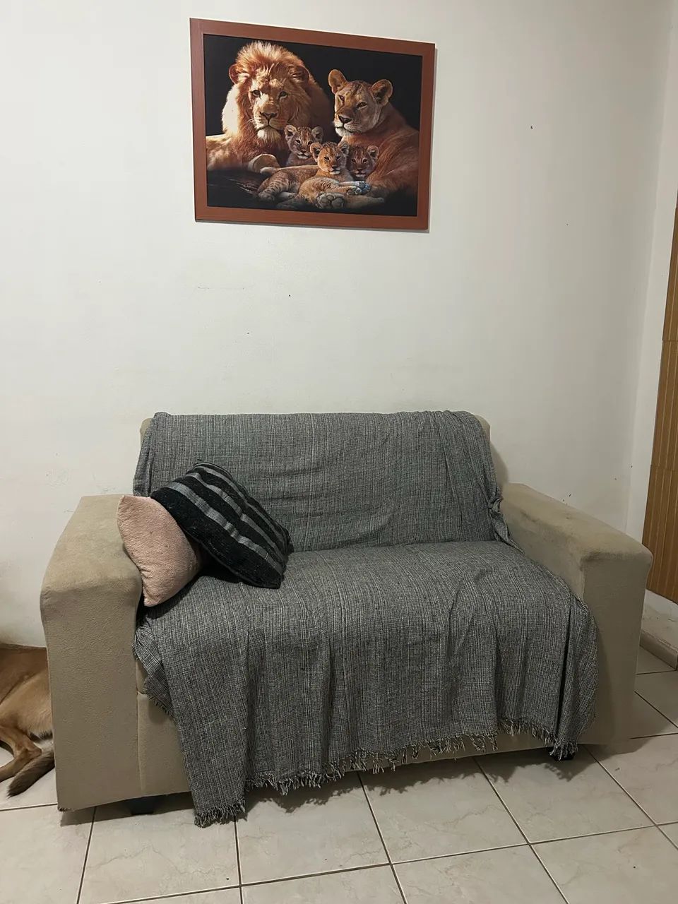 Sofá  - Foto 3