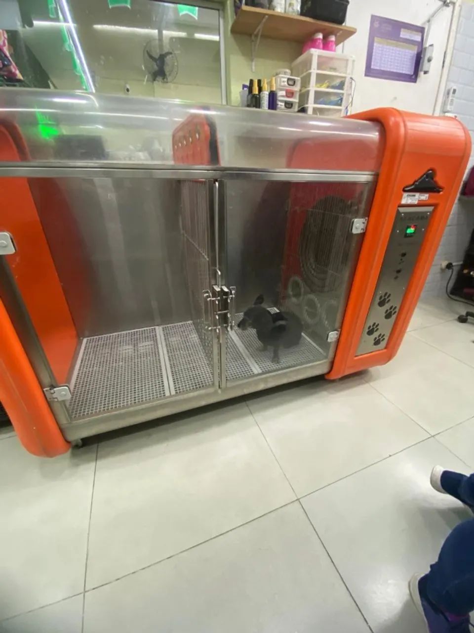 Máquina secar Pet Atacama dual force 