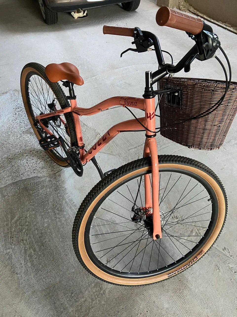 Bike Viena