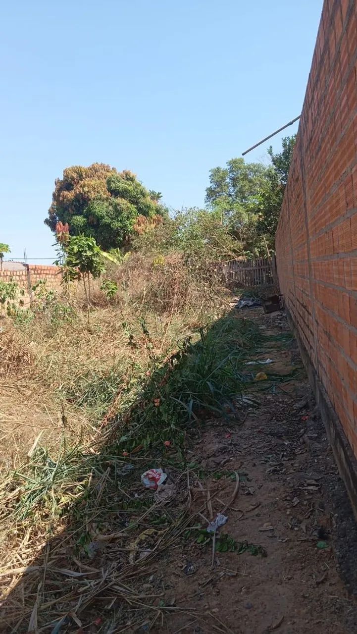 TERRENO  - Foto 5