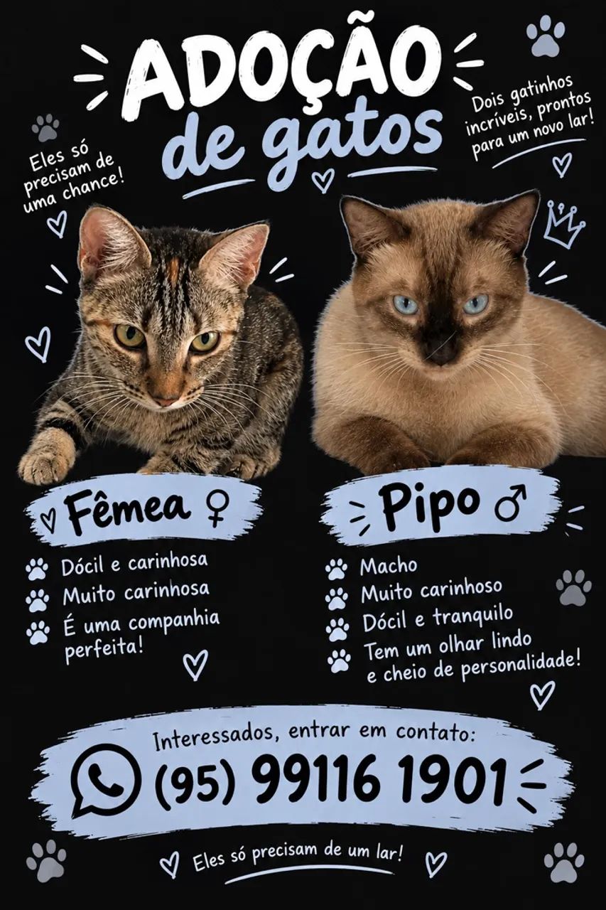 ADOÇÃO RESPONSÁVEL!  - Foto 2