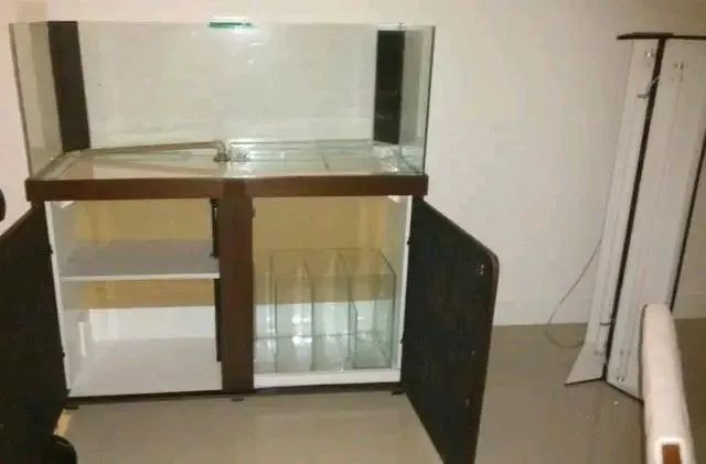 Aquário de todos os tamanhos  - Foto 6