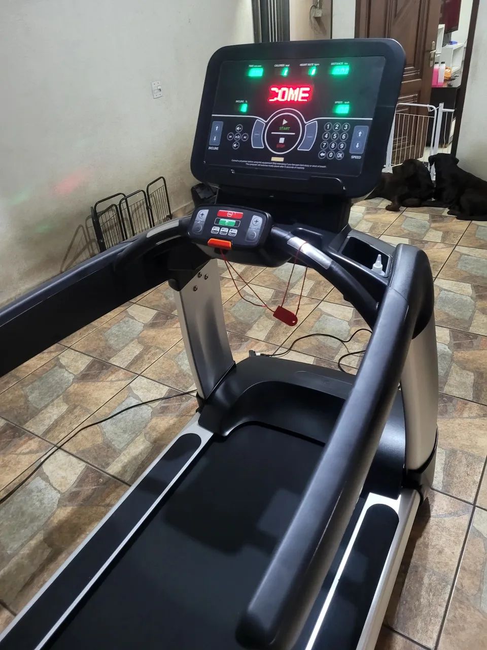Esteira profissional na caixa 