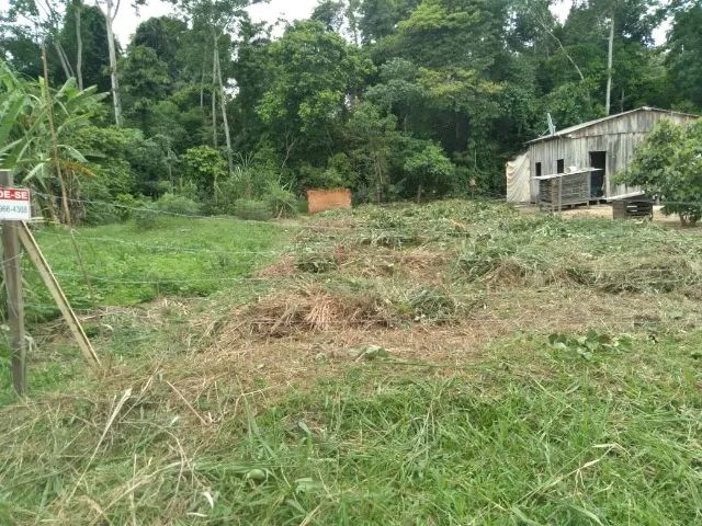 LOTE DE TERRA MEDINDO 10M DE LARGURA POR 30M DE COMPRIMENTO - Foto 2