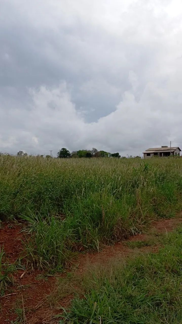 Terreno em Porangaba  - Foto 4
