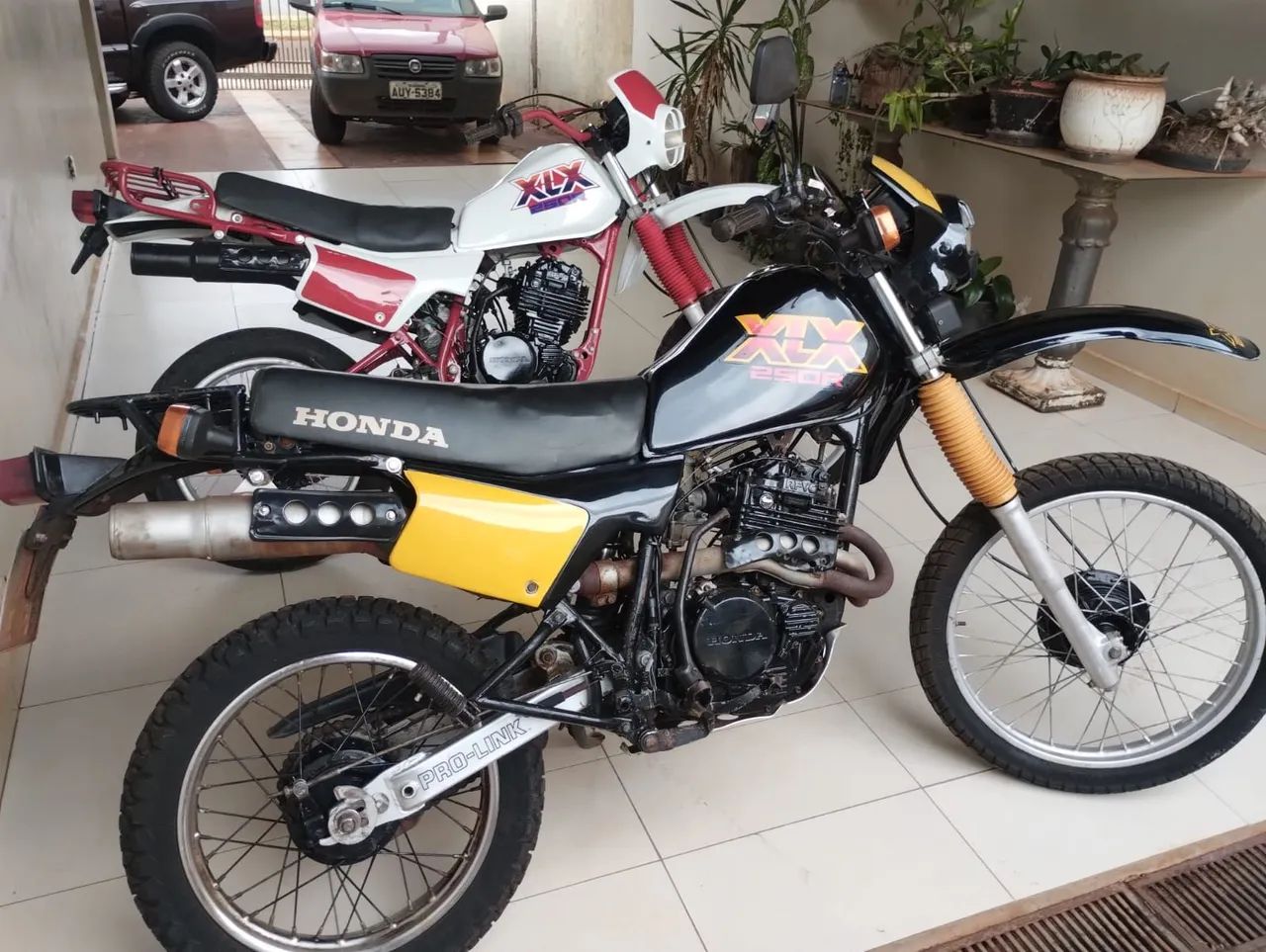 XLX 250R
