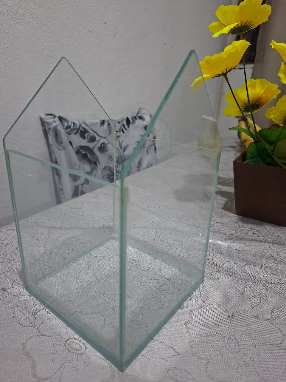 Aquário  - Foto 2