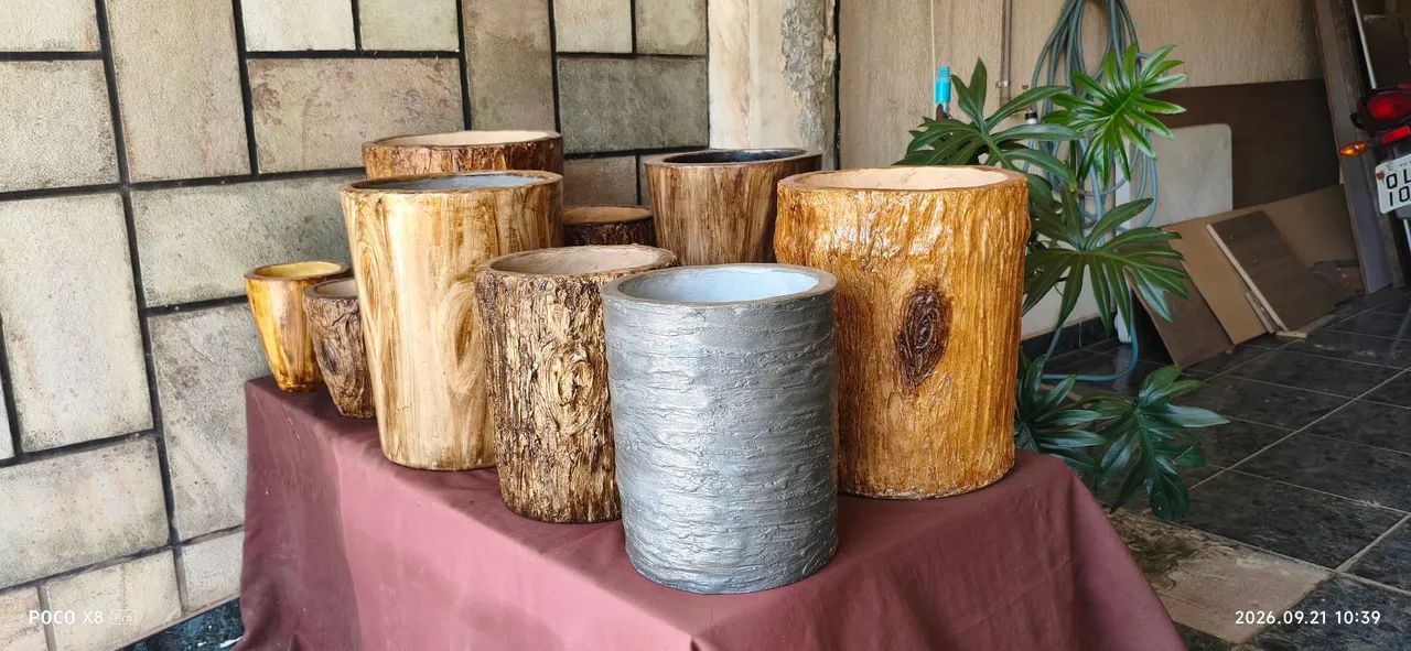 Vasos de Plantas 