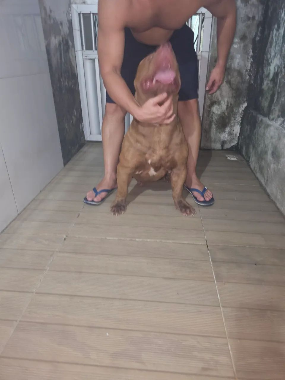 Pitmonster  - Foto 3