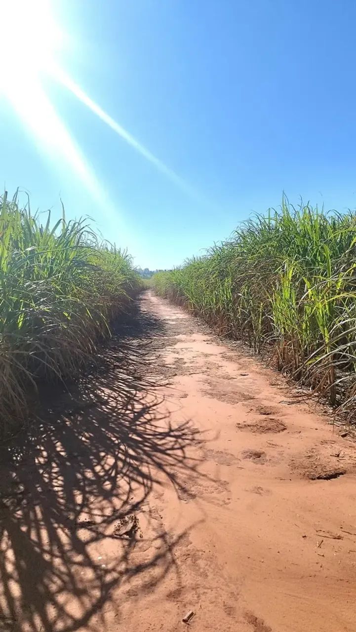 CANA - Área Rural 30 Alqueires - Ivaté - PR