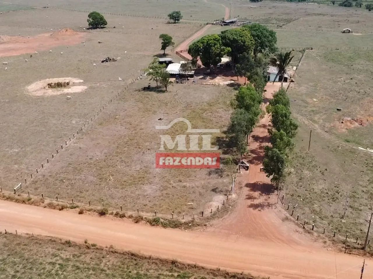 Fazenda em Colíder-MT. (214 Hectares)
