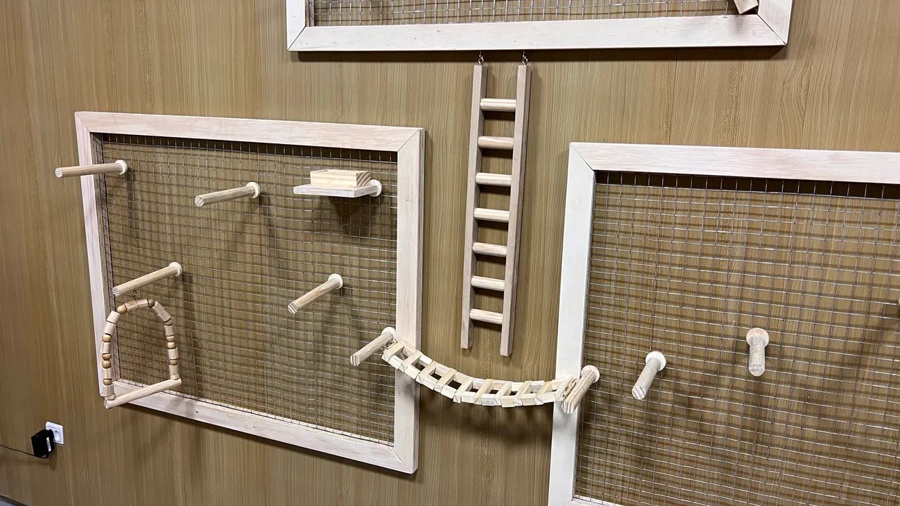 Acessório para pets, poleiro para pássaros  - Foto 4
