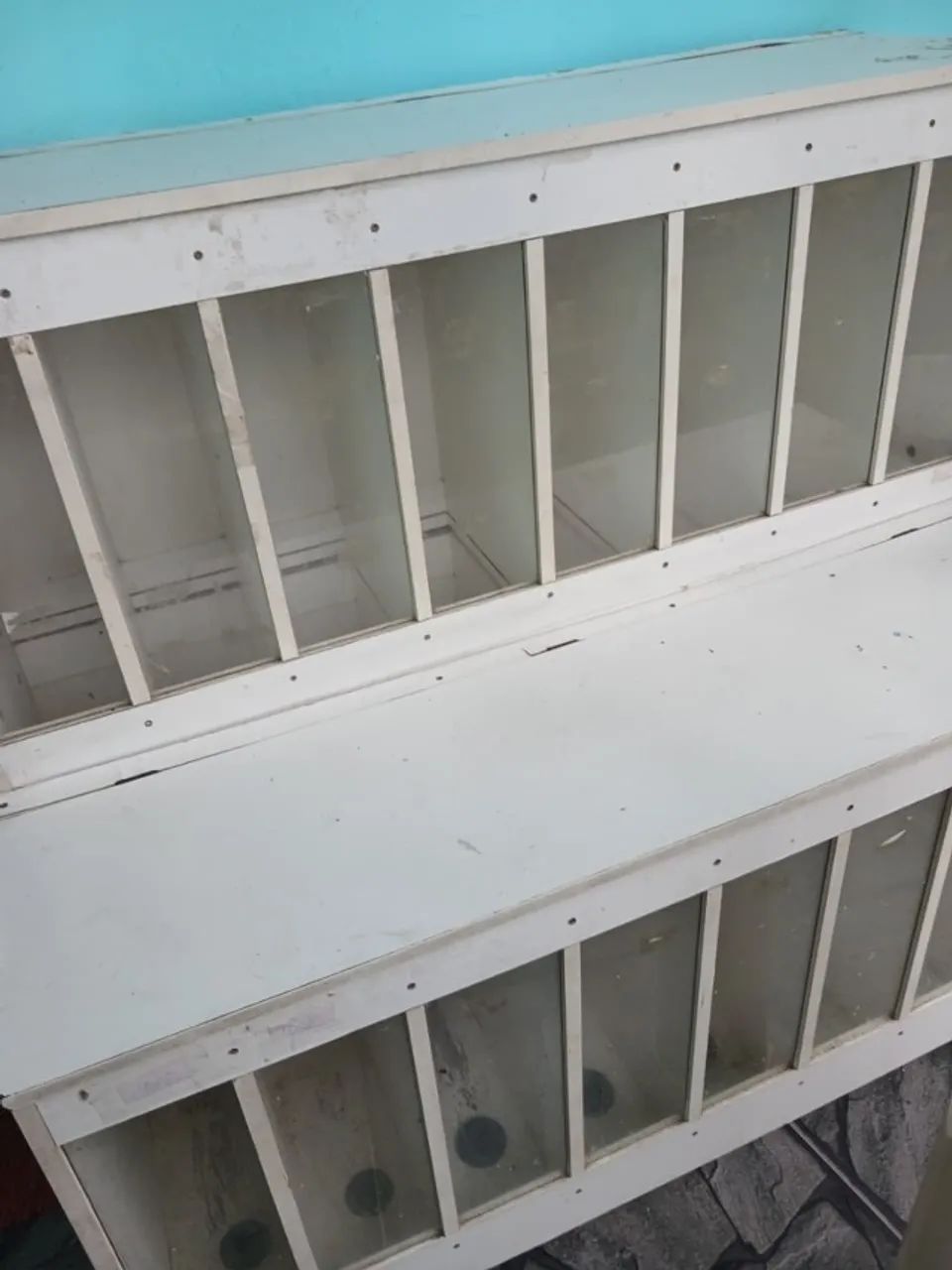 Expositor de ração - Foto 2