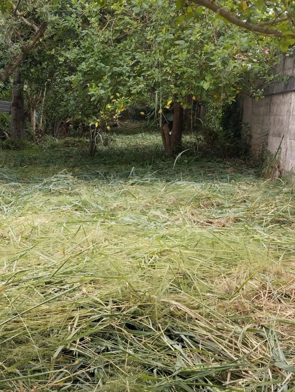 Foto - São José dos Campos - Vila Rica