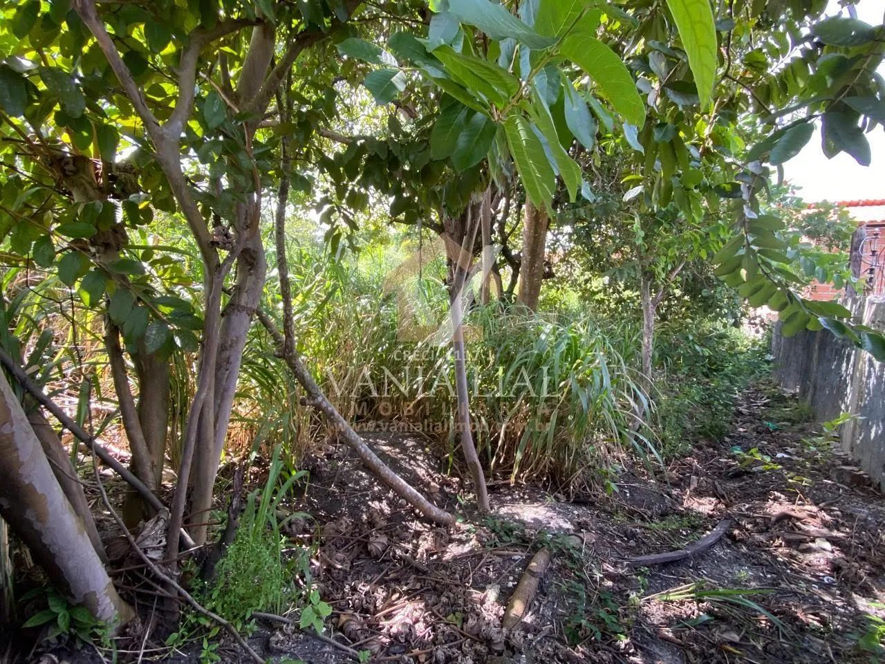 Terreno em Destacado - Salinópolis, PA - Foto 2