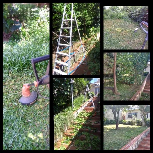 Jardinagem  - Foto 3