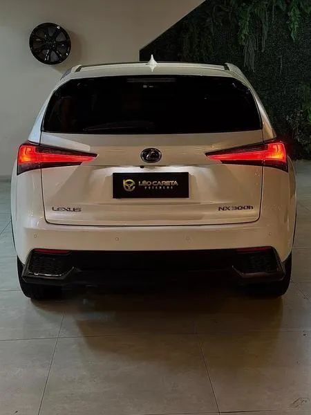 Lexus NX-300 H F-sport 2.5 16V Aut., foto 12 de 19
