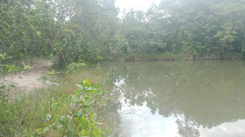 Loteamento - Nascente - Represa - Sauípe - Foto 2