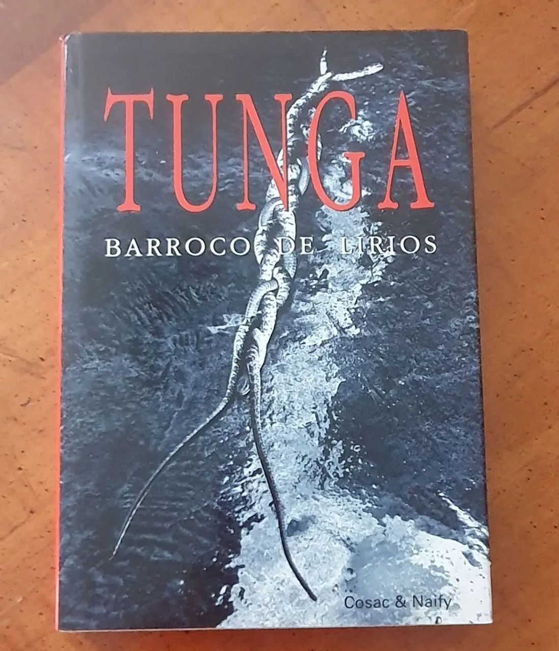 Livro Barroco de Lírios