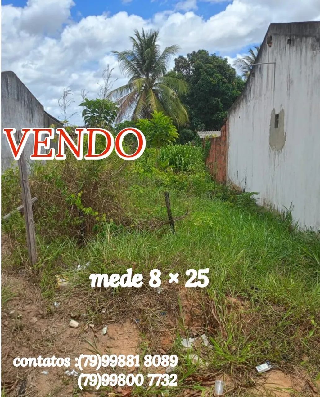 Foto - Aracaju - Olaria