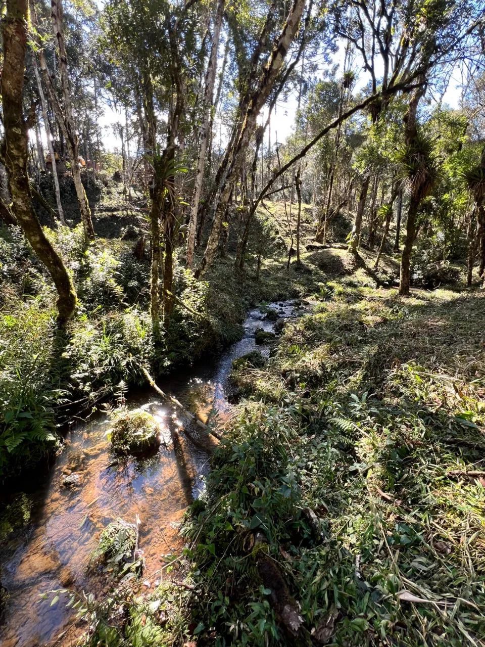 Chácara disponível para venda - Foto 2