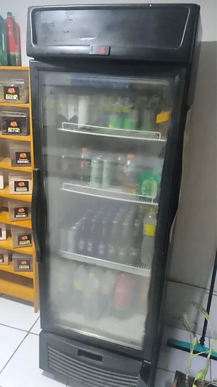Freezer Vertical 
