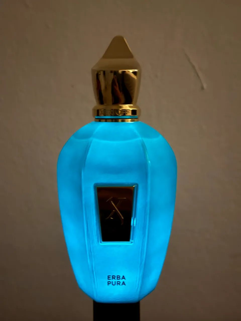 Perfume Xerjoff Erba Pura 100ml - Foto 4