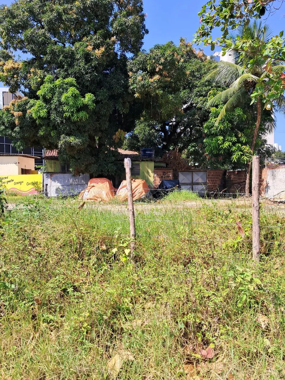 Terreno  - Foto 4