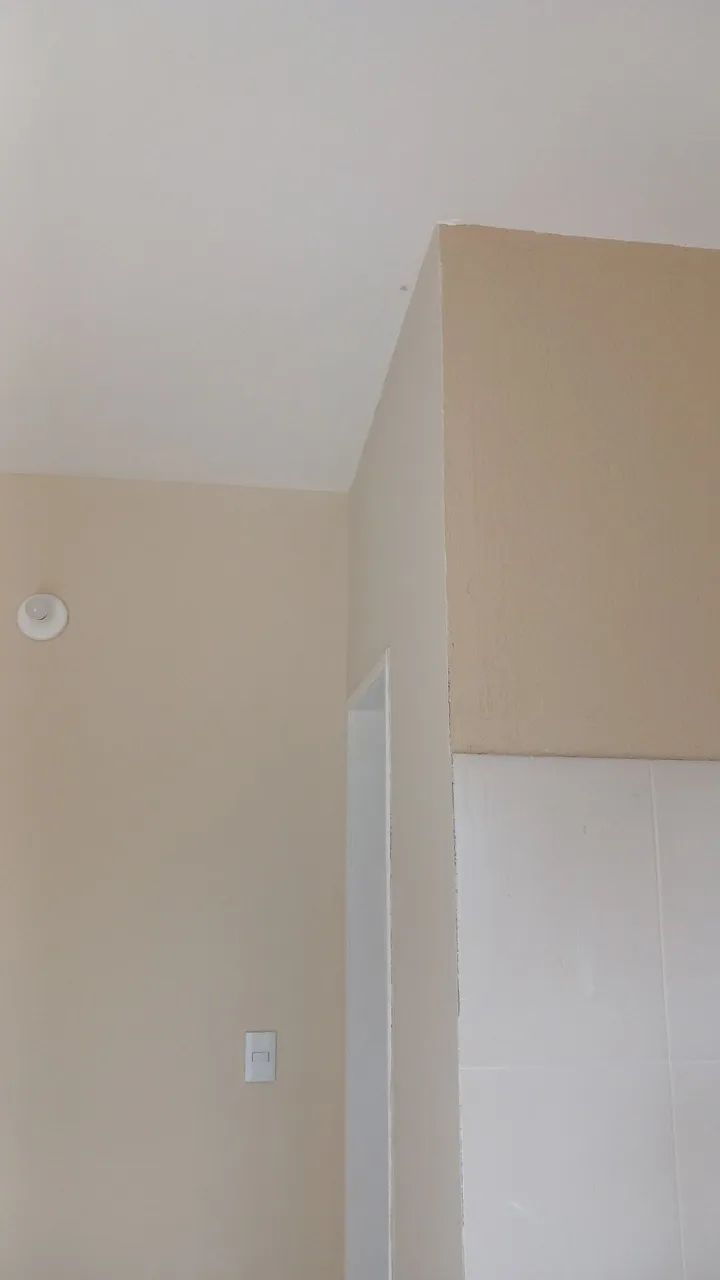Pinturas em geral - Foto 3