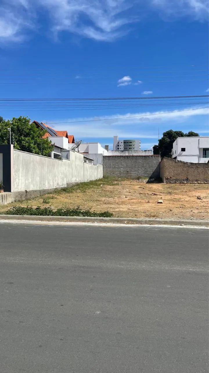 Foto - Patos - Maternidade