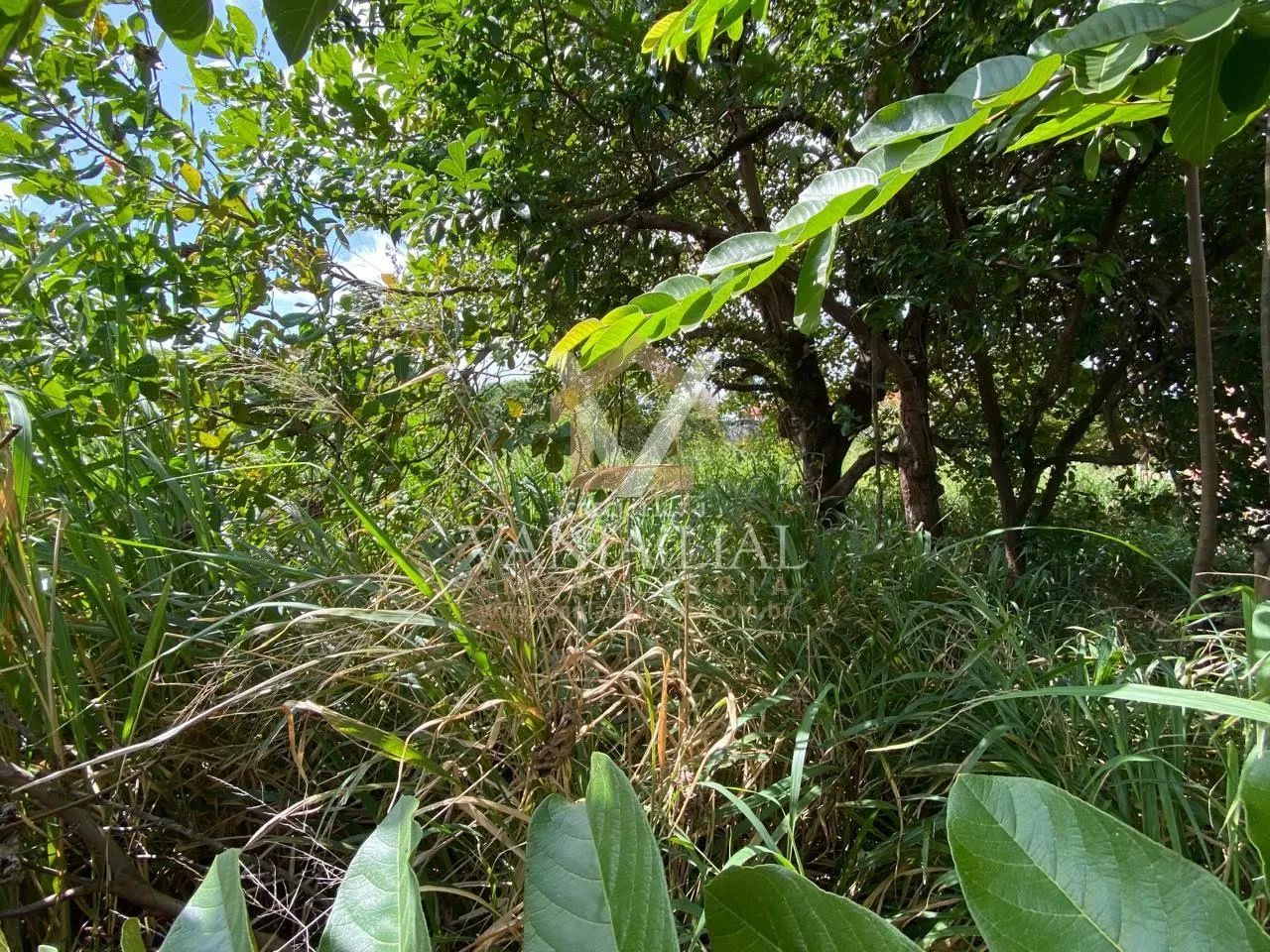 Terreno em Destacado - Salinópolis, PA - Foto 3