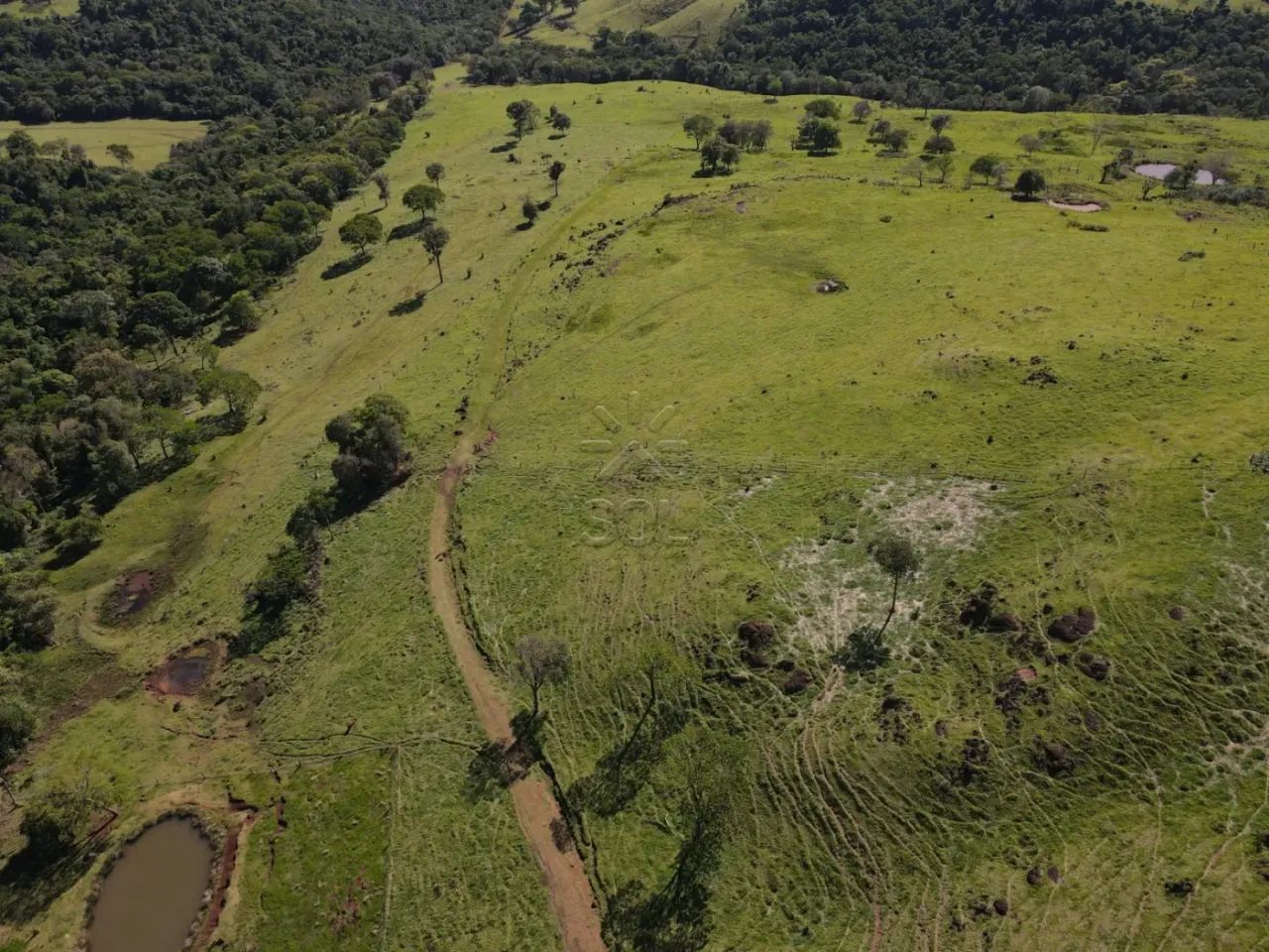 Fazenda à venda em Ramilândia/PR - Foto 4
