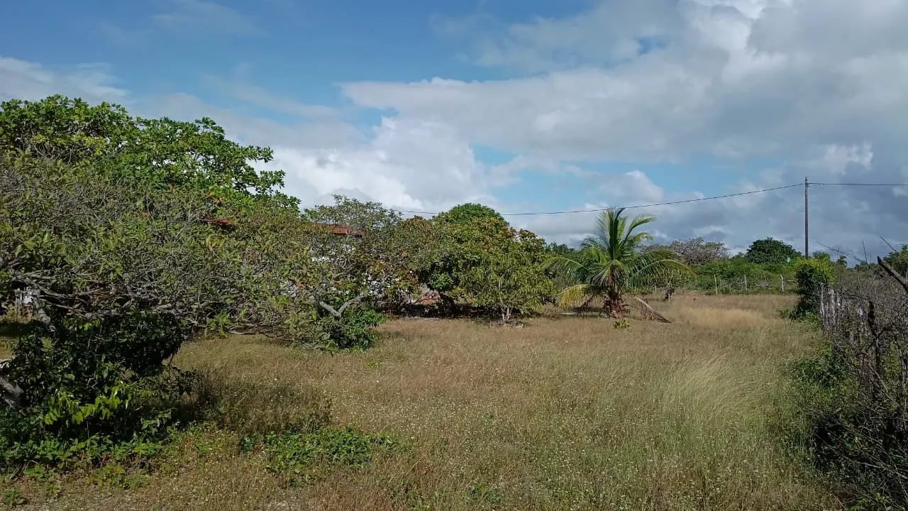 Terreno com casa - Foto 3