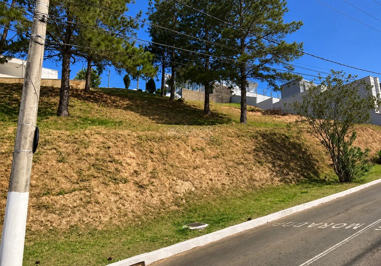 Lote / Terreno - São Pedro - Foto 5