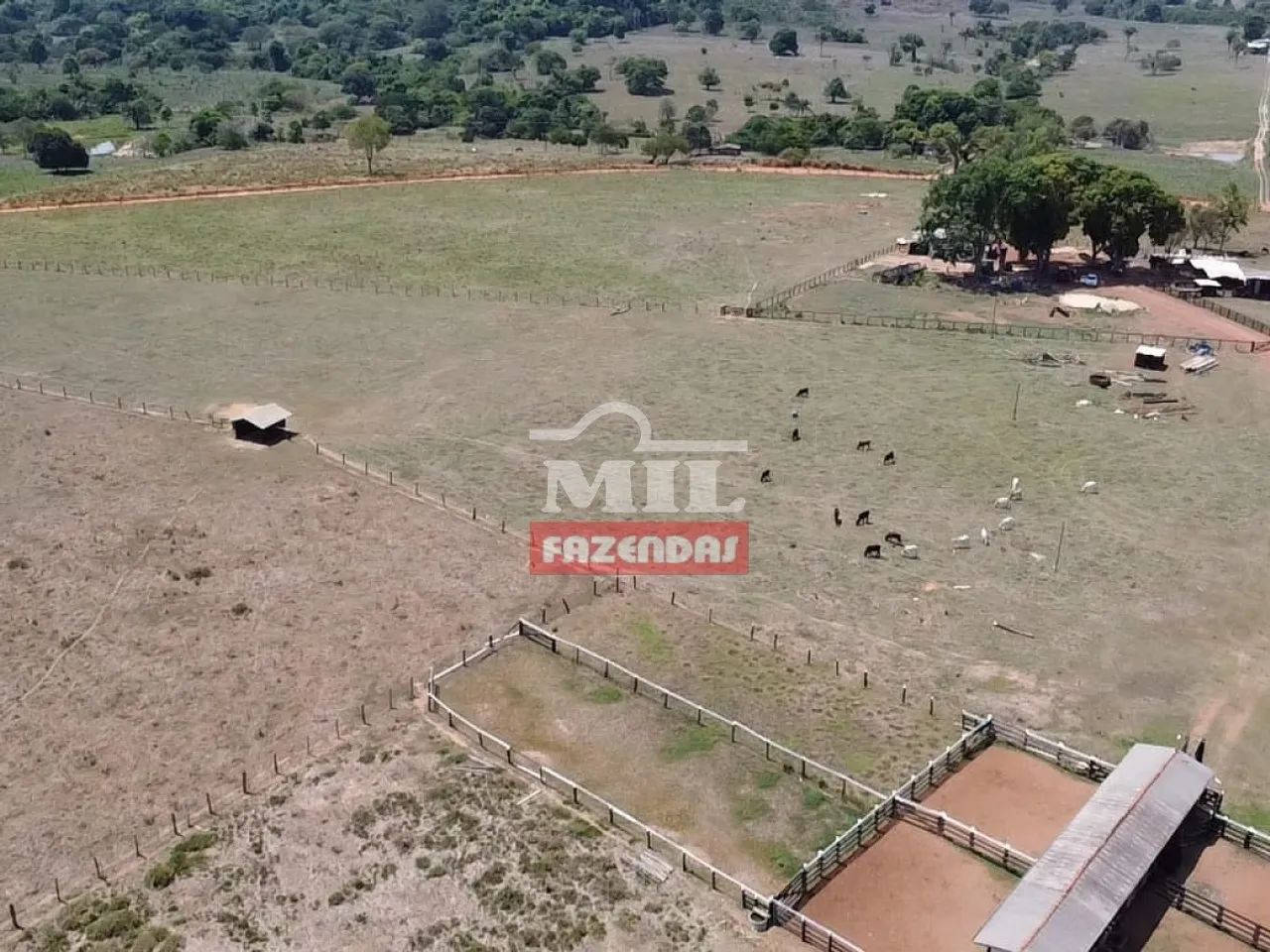 Fazenda em Colíder-MT. (214 Hectares) - Foto 2